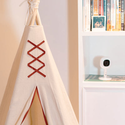 Image of nanit pro camera + flex stand on book shelf